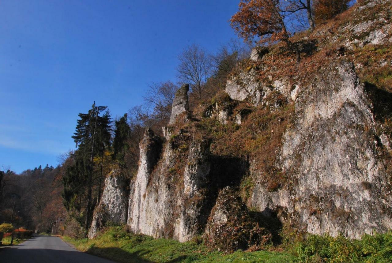 Pokoje Goscinne U Grazyny Ojcow Εξωτερικό φωτογραφία