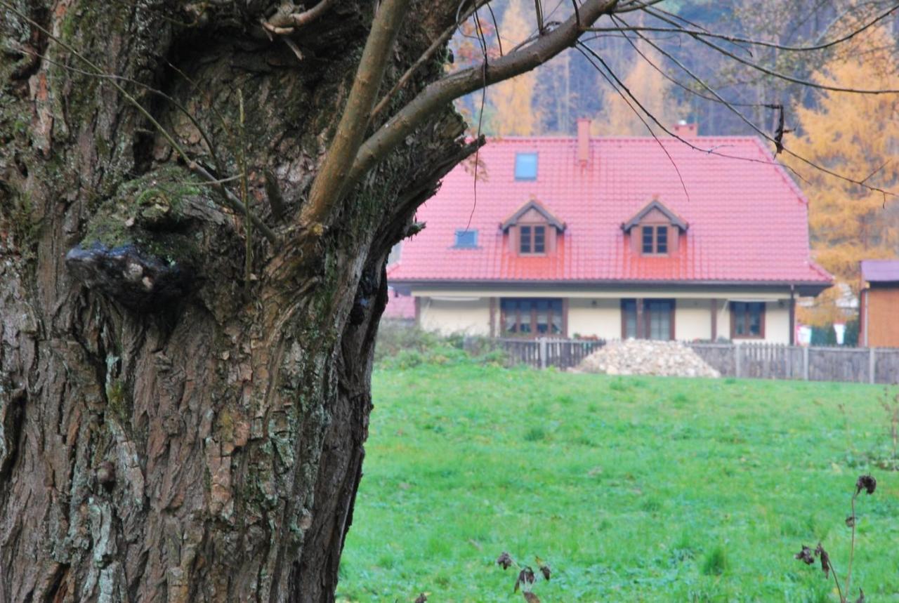 Pokoje Goscinne U Grazyny Ojcow Εξωτερικό φωτογραφία