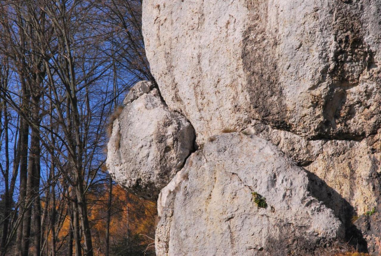 Pokoje Goscinne U Grazyny Ojcow Εξωτερικό φωτογραφία