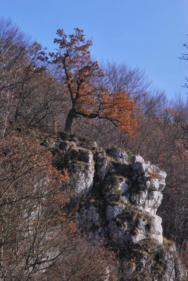 Pokoje Goscinne U Grazyny Ojcow Εξωτερικό φωτογραφία