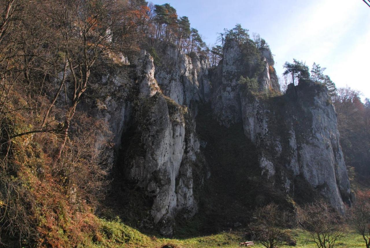 Pokoje Goscinne U Grazyny Ojcow Εξωτερικό φωτογραφία