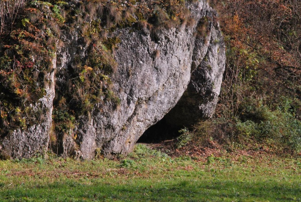 Pokoje Goscinne U Grazyny Ojcow Εξωτερικό φωτογραφία