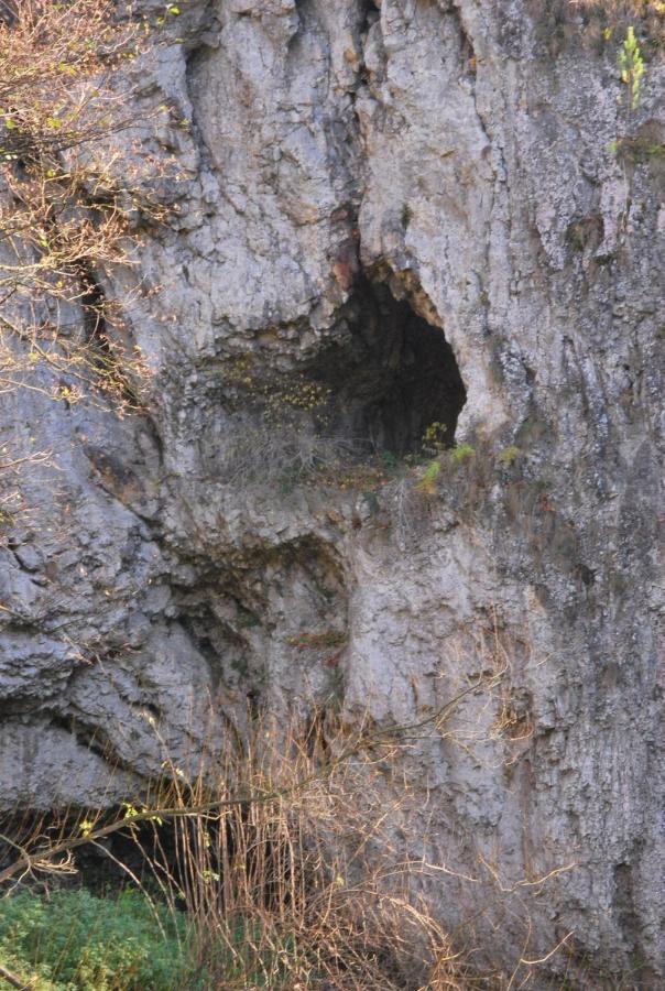 Pokoje Goscinne U Grazyny Ojcow Εξωτερικό φωτογραφία