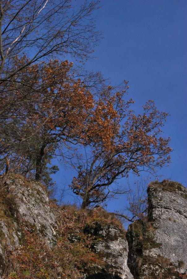 Pokoje Goscinne U Grazyny Ojcow Εξωτερικό φωτογραφία