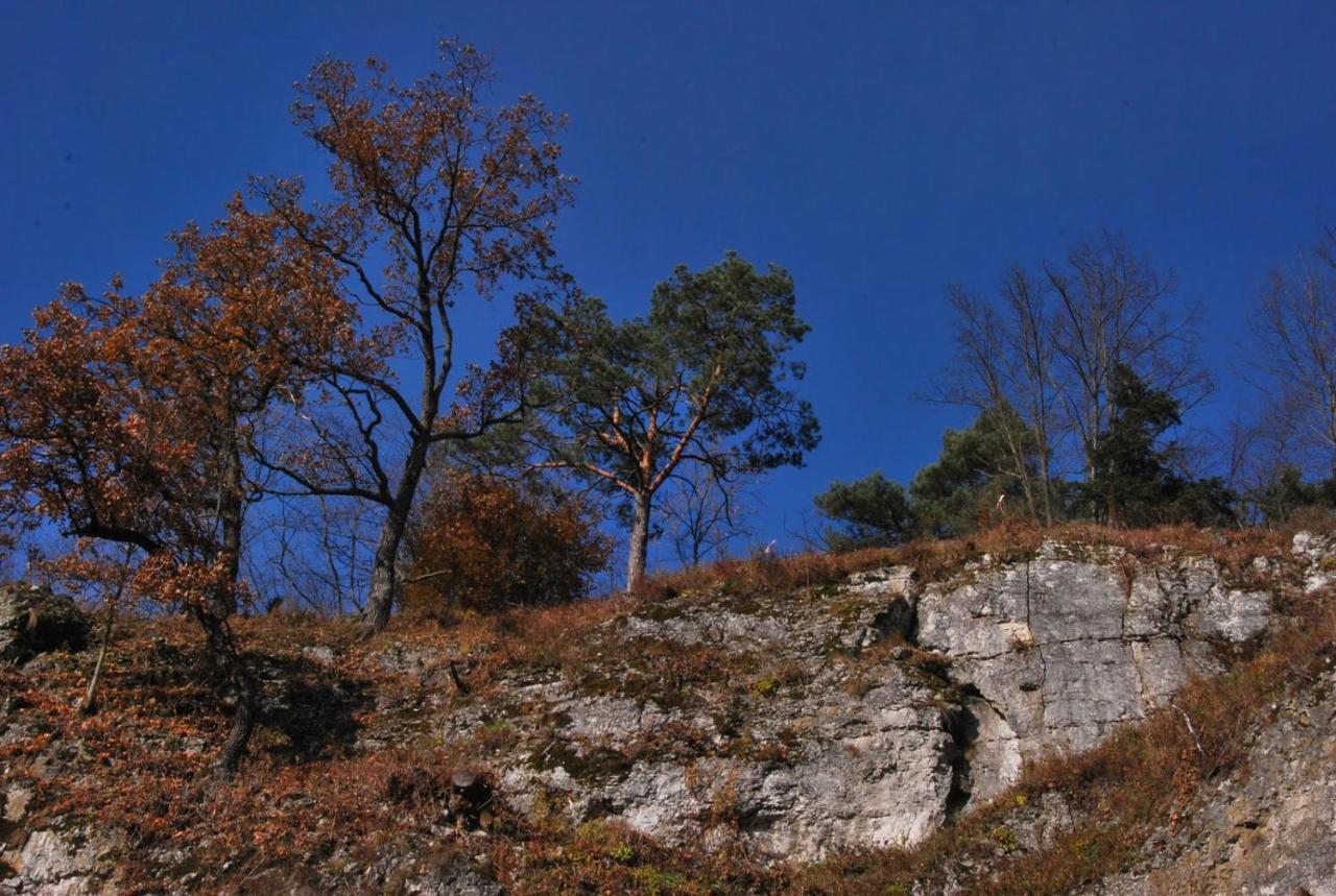 Pokoje Goscinne U Grazyny Ojcow Εξωτερικό φωτογραφία