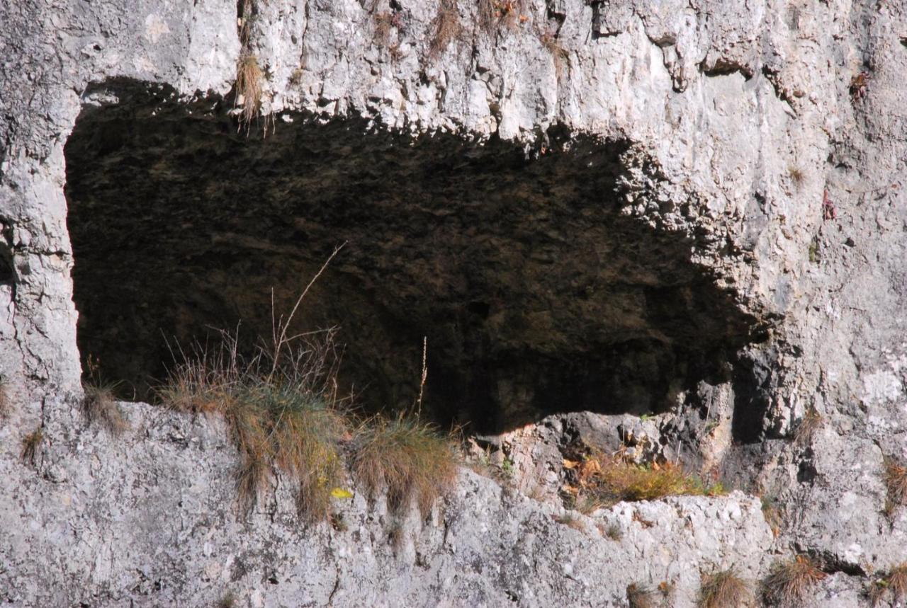 Pokoje Goscinne U Grazyny Ojcow Εξωτερικό φωτογραφία